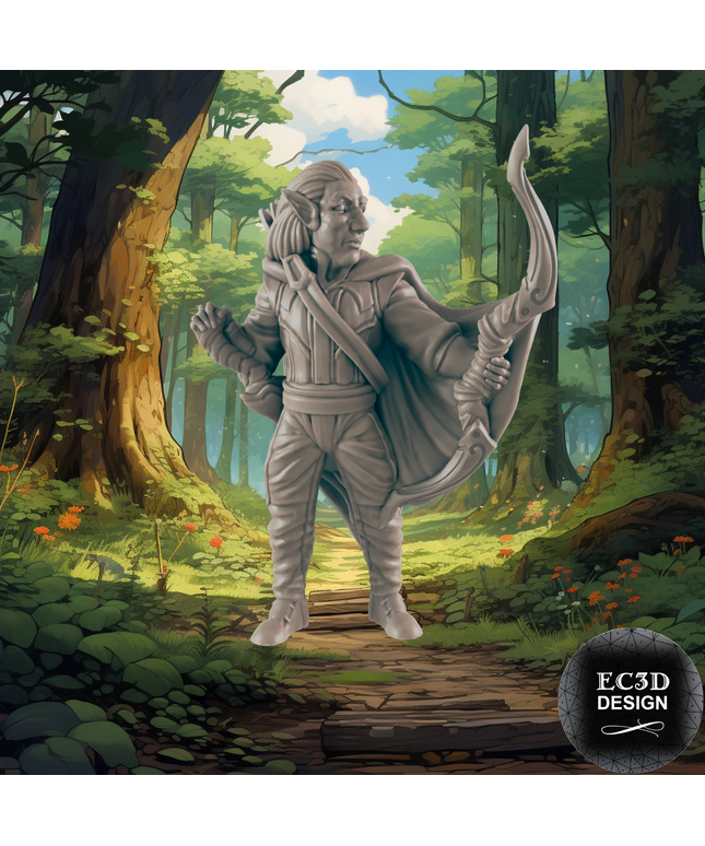 Everyday Heroes / Ranger Elf Male
