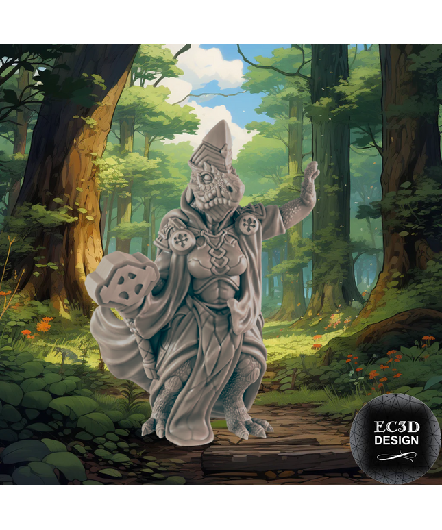 Everyday Heroes / Cleric Dragonkin Female
