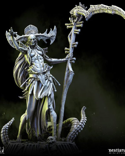 The Coven: Collection