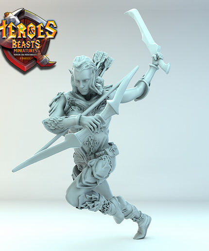 Wood Elf ( sword charging)