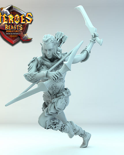 Wood Elf ( sword charging)