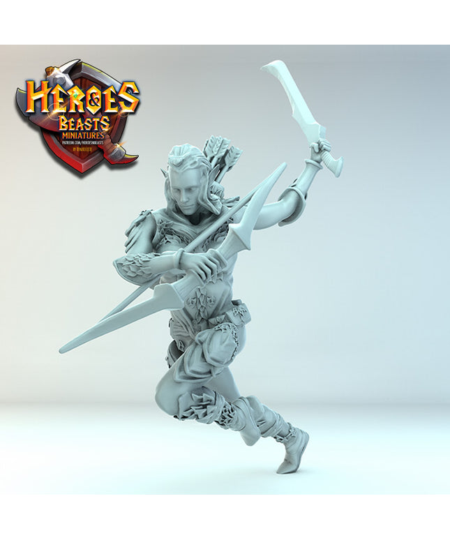 Wood Elf ( sword charging)