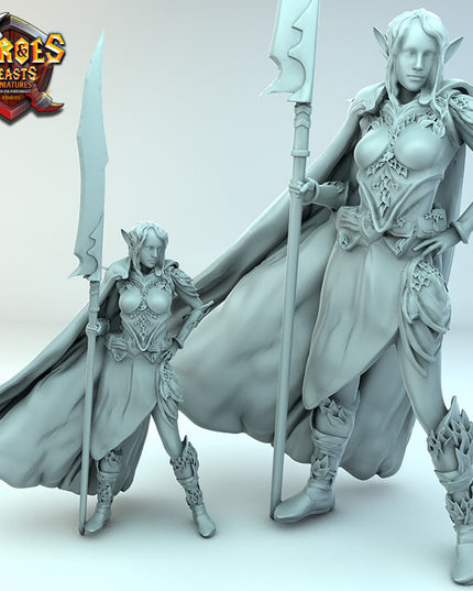 Wood Elf ( female glaive guard )