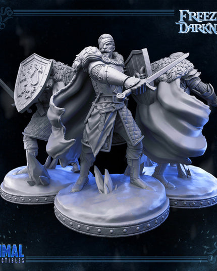 Mercenary - Man-at-arms - Osmond - FREEZING DARKNESS - MASTERS OF DUNGEONS QUEST