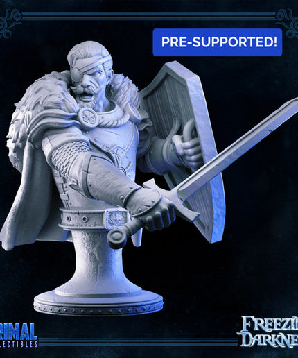 Mercenary - Osmond - Bust- FREEZING DARKNESS - MASTERS OF DUNGEONS QUEST