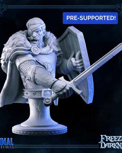 Mercenary - Osmond - Bust- FREEZING DARKNESS - MASTERS OF DUNGEONS QUEST