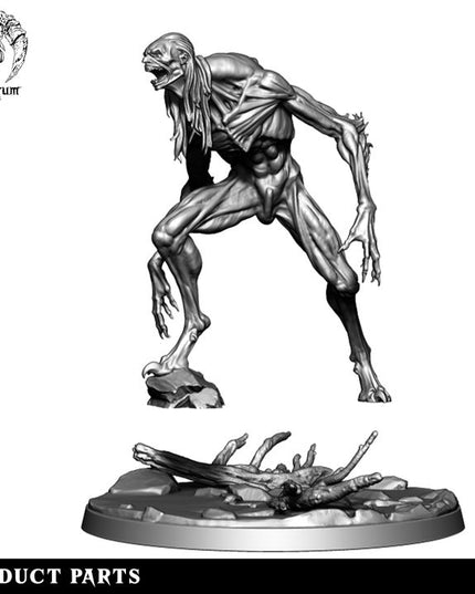 The Wilds Part 2: Collection