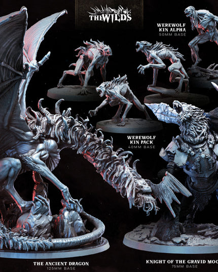 The Wilds Part 2: Collection