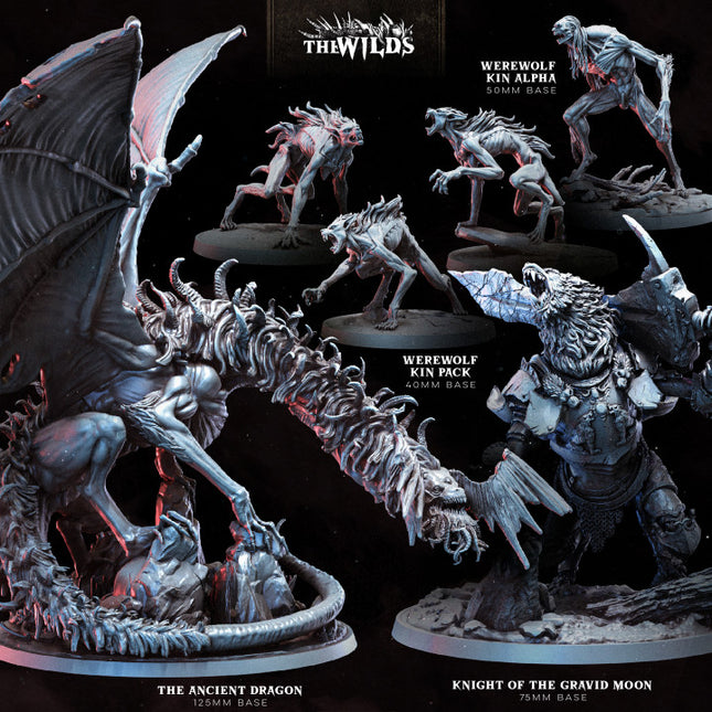 The Wilds Part 2: Collection