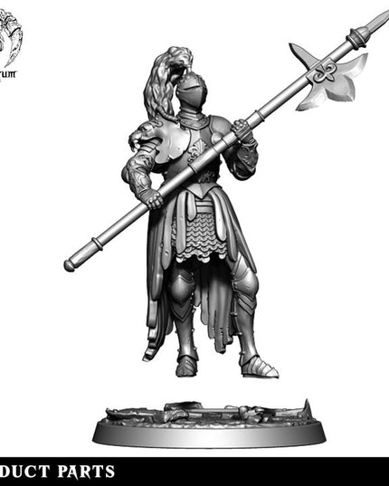 House Lionheart: Collection
