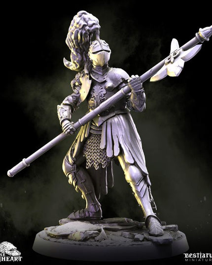 House Lionheart: Collection