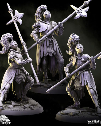 House Lionheart: Collection