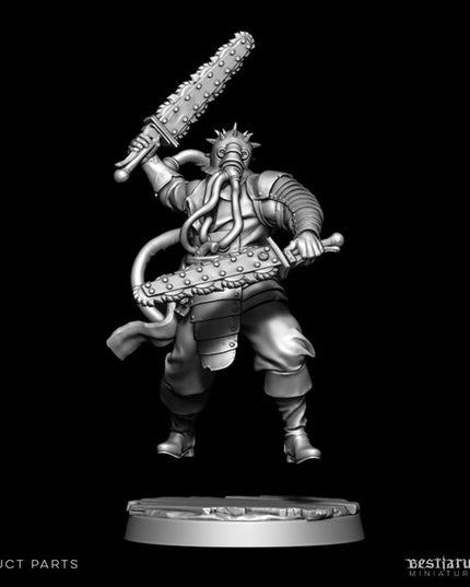 Roilsea Corsairs: Collection