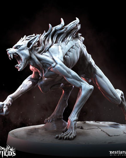 The Wilds Part 2: Collection