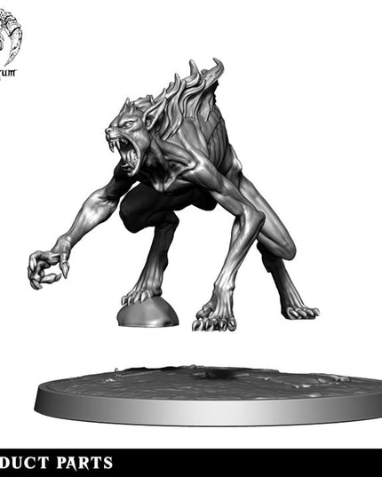 The Wilds Part 2: Collection