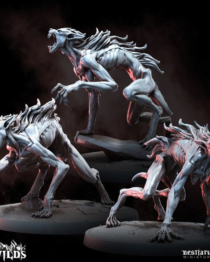 The Wilds Part 2: Collection