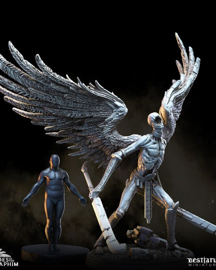 Echoes of the Seraphim Part 1: Collection