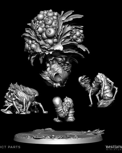 Mycena Mortifera Part 2: Collection