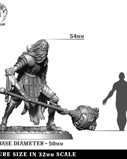 House Lionheart: Collection