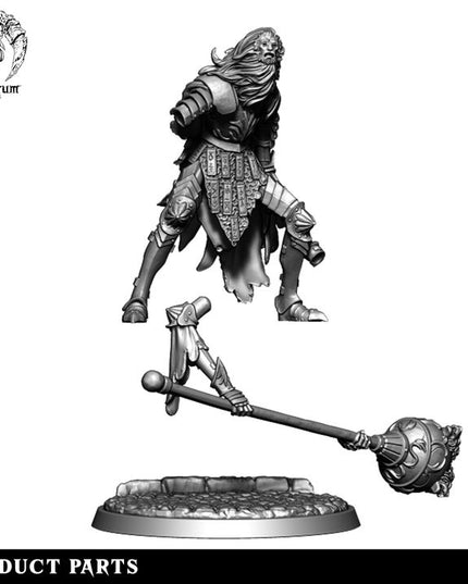 House Lionheart: Collection
