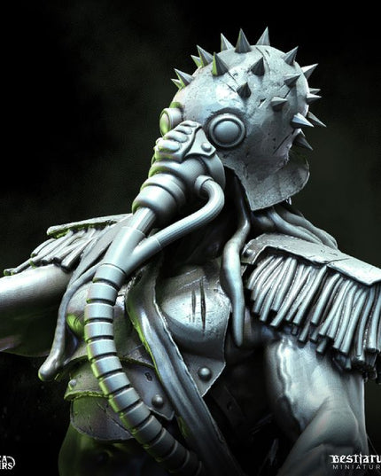 Roilsea Corsairs: Collection