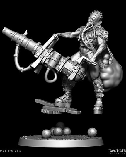 Roilsea Corsairs: Collection