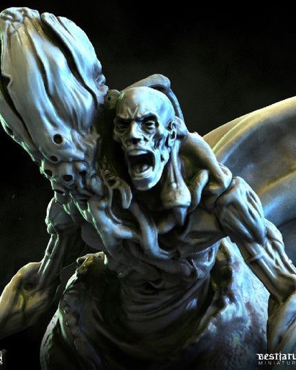 Gorgon Catacombs: Collection
