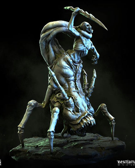 Gorgon Catacombs: Collection