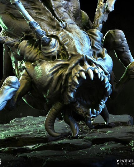 Gorgon Catacombs: Collection