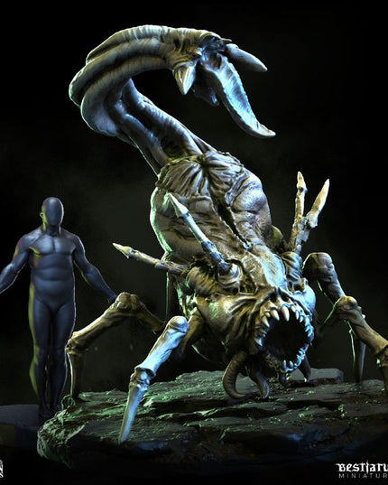 Gorgon Catacombs: Collection