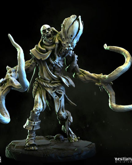 Gorgon Catacombs: Collection