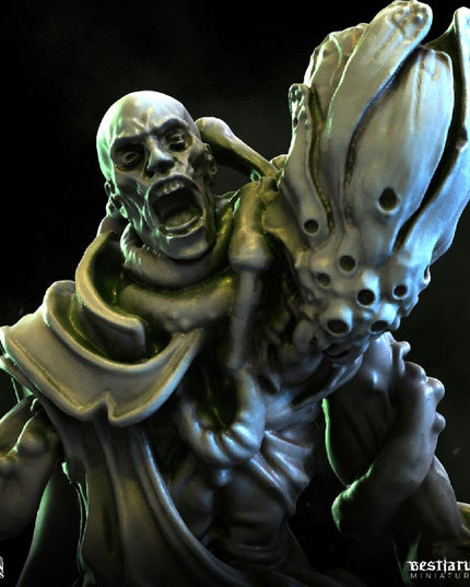 Gorgon Catacombs: Collection