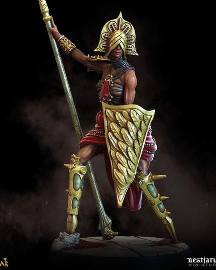 The Court of Balazar: Miniatures Collection