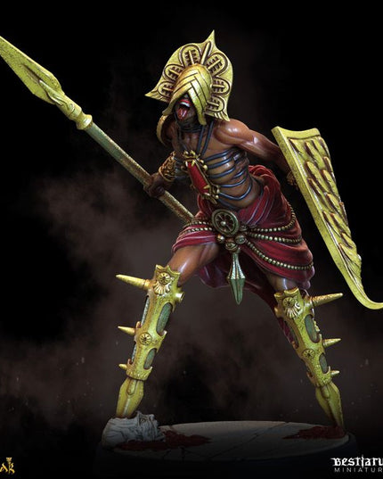 The Court of Balazar: Miniatures Collection