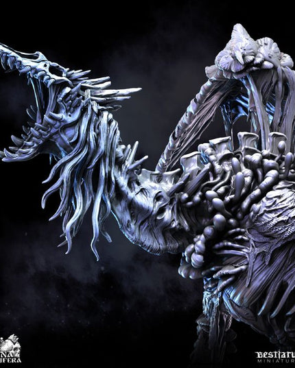 Fungal Dragon