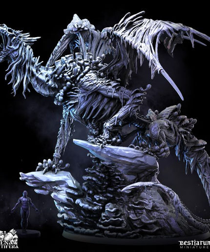 Fungal Dragon