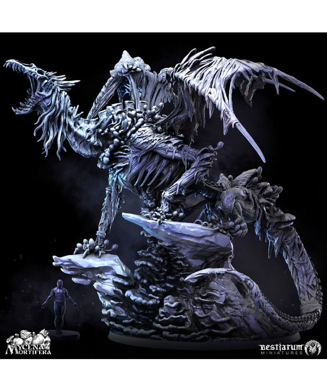 Fungal Dragon