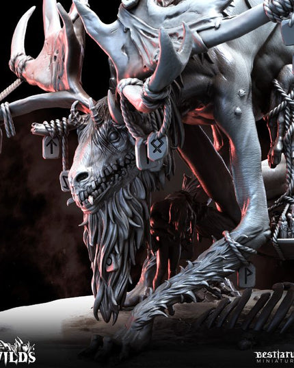 The Wilds Part 1: Collection