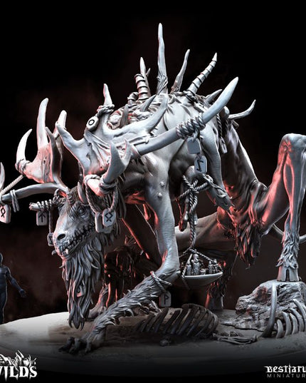 The Wilds Part 1: Collection