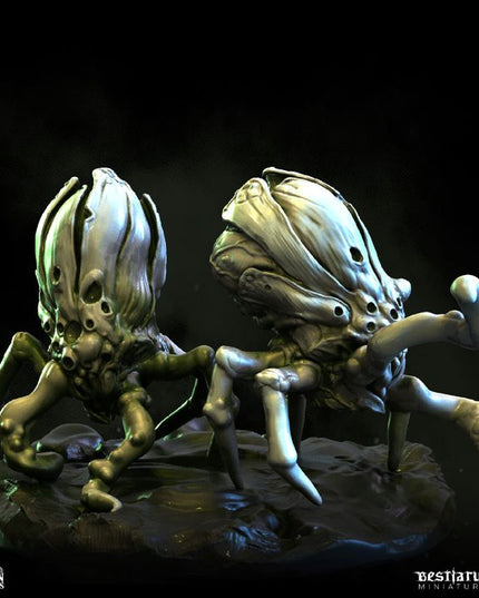 Gorgon Catacombs: Collection