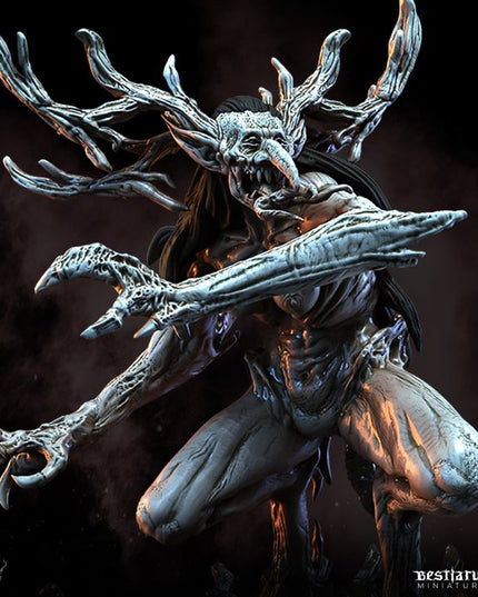 Dark Forest Part 1: Collection
