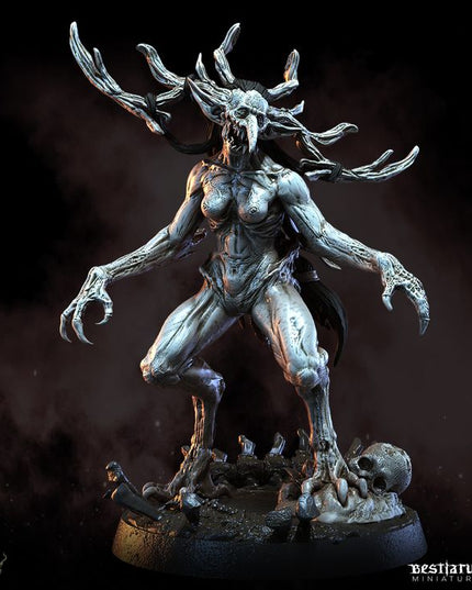 Dark Forest Part 1: Collection