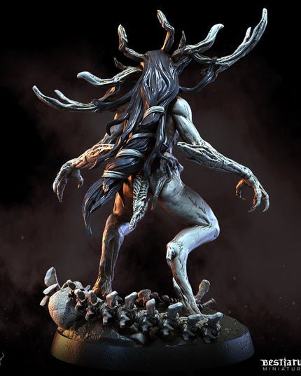 Dark Forest Part 1: Collection