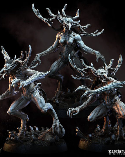 Dark Forest Part 1: Collection