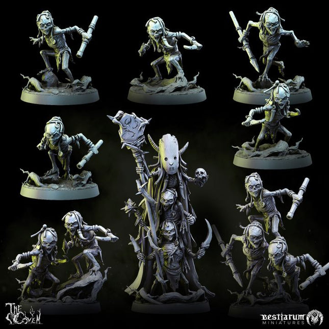 The Coven: Collection