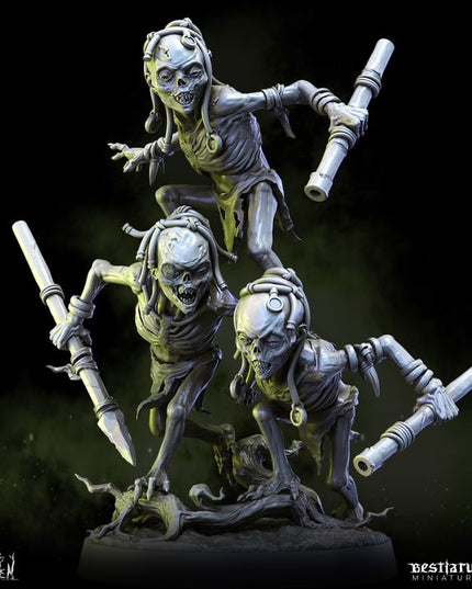 The Coven: Collection