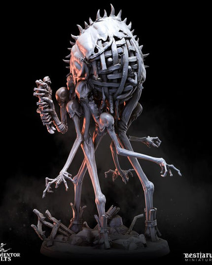 Tormentor Cults Part Four: Collection