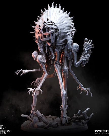 Tormentor Cults Part Four: Collection