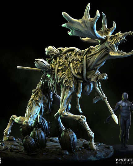 Gorgon Catacombs: Collection
