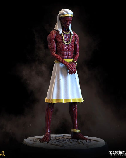 The Court of Balazar: Miniatures Collection